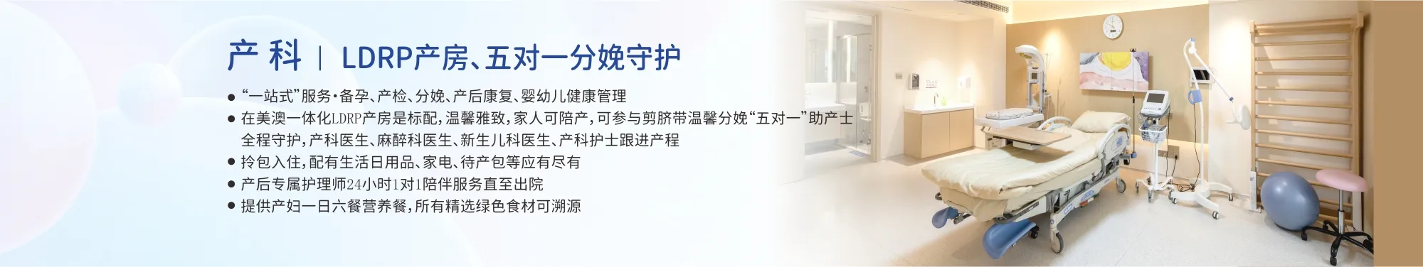 专家团队1