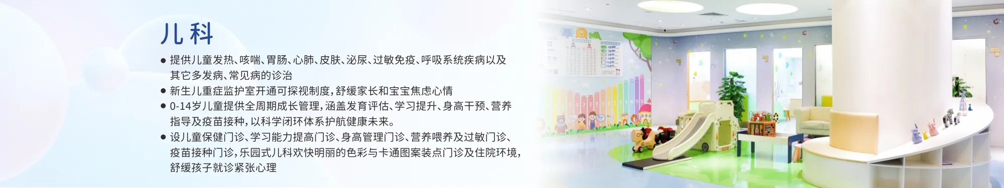 专家团队4